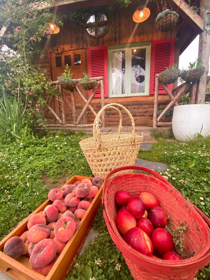 Meena Bagh Ratnari- An Apple Orchard Bungalow Bagi 외부 사진