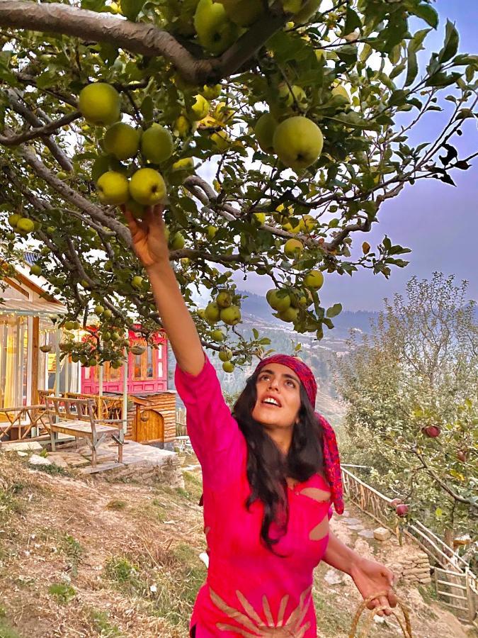 Meena Bagh Ratnari- An Apple Orchard Bungalow Bagi 외부 사진